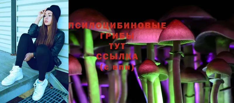 Галлюциногенные грибы Cubensis  Слюдянка 